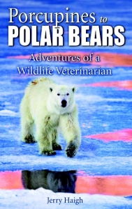 porcupines-and-polar-bears